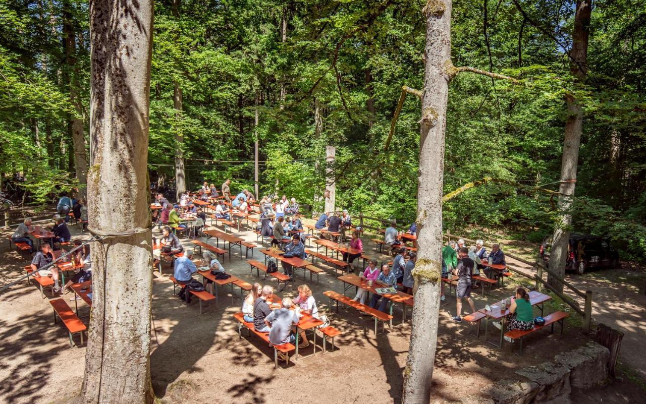 Brauereigasthof Zum Loewenbraeu Adelsdorf 外观 照片